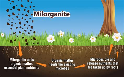 Does milorganite expire. Things To Know About Does milorganite expire. 